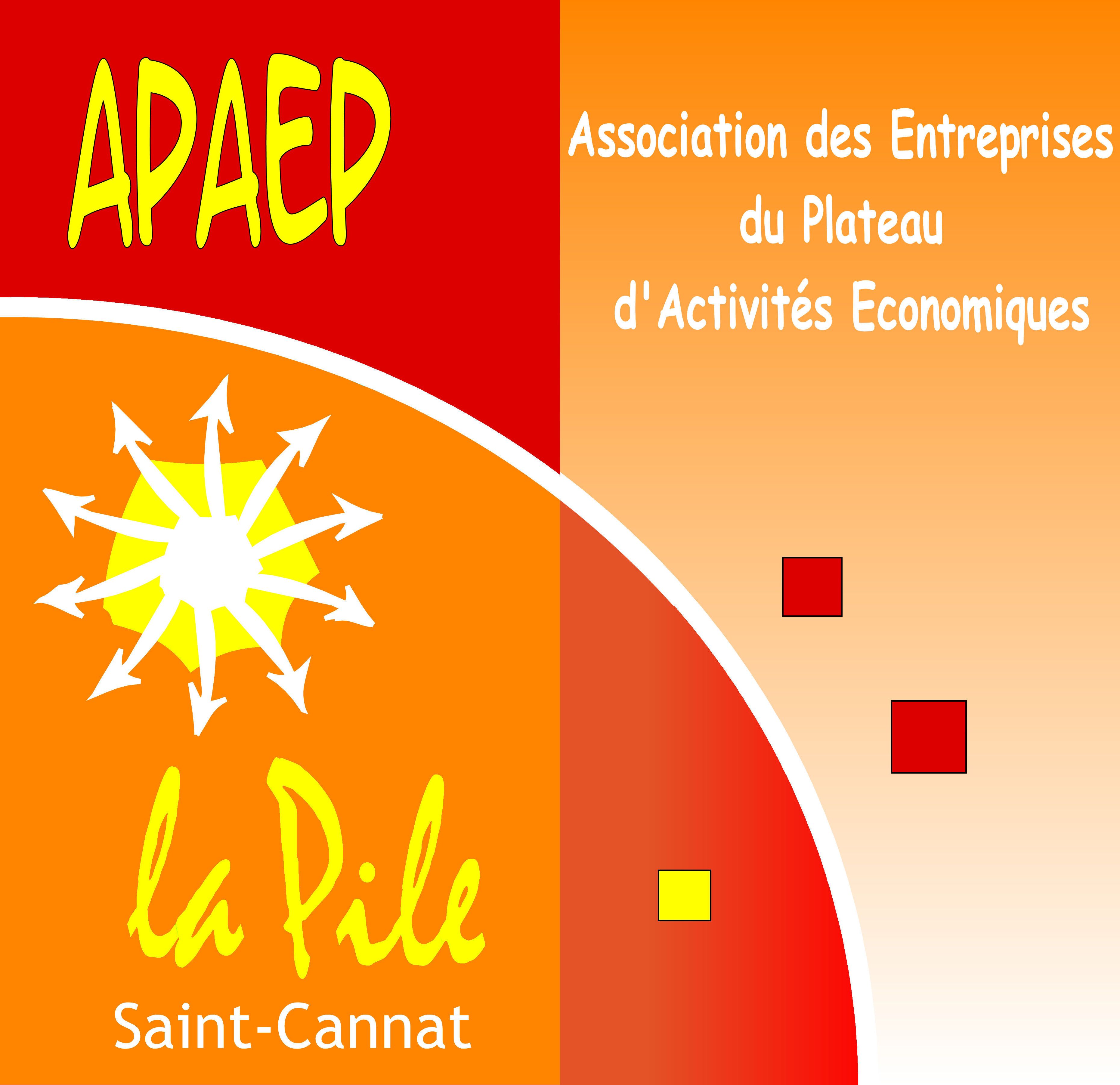 Logo APAEP